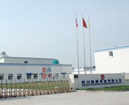 四川雷速体育(中国)官方网站有限公司
